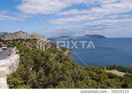 rocky coast of the sea with coniferous trees on wh rocky coast of the sea with coniferous trees on wh 55020133
