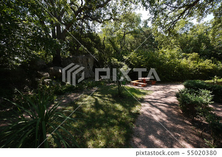 Small wooden benches with a table standing in the 55020380