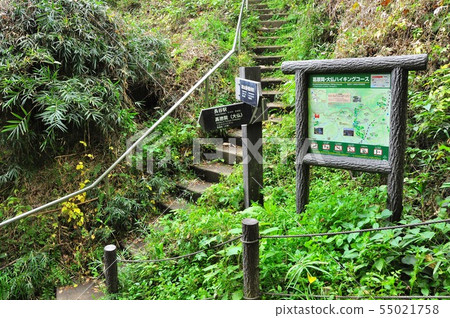 Kamakura Hiking Course Kuzuharaoka/Great Buddha Hiking Course Daibutsu side entrance Kamakura Hiking Course Kuzuharaoka/Great Buddha Hiking Course Daibutsu side entrance 55021758