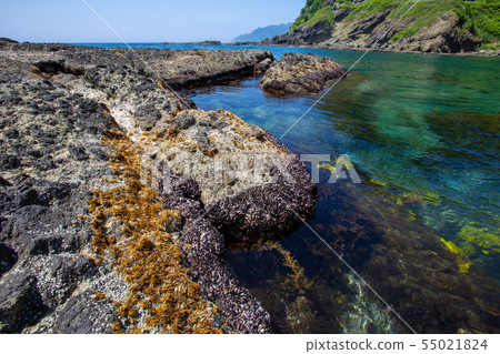 海灘海灘 海灘海灘 55021824