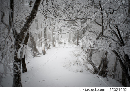 霧和冰隧道 霧和冰隧道 55021962