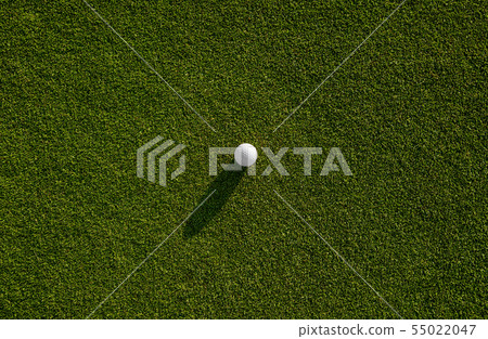 background of green grass background of green grass 55022047