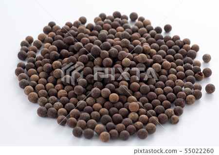 tapioca tapioca 55022260