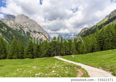 Mountain trail in Val Contrin. Dolomites. Italy. 55022371