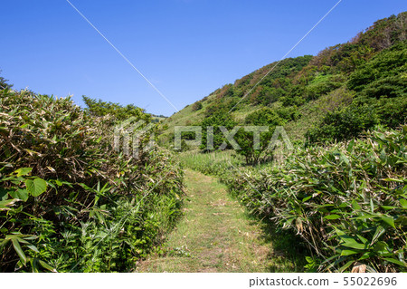 Shakotan Pass Nature Trail 55022696