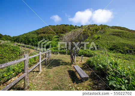 Shakotan Pass Nature Trail 55022702