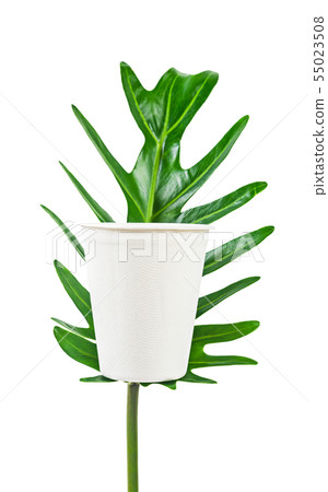 Eco friendly package concept. 55023508