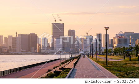 Scenery of the Toyosu-gururu Park (the evening view) 55023754