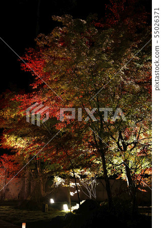 星野屋日本花園照明04 55026371