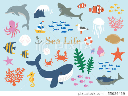 Sea creatures illustration set 55026439