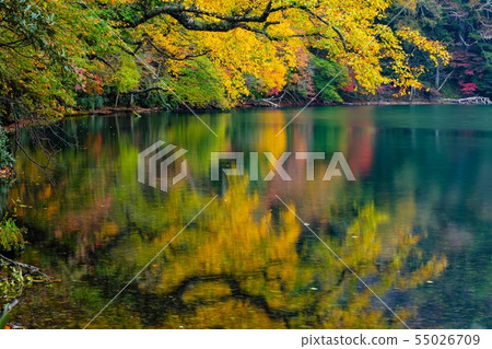 Oku Nikko Yuko Lake Autumn leaves 55026709