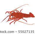 伊勢蝦 55027135