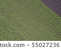 Pattern of the field 55027236