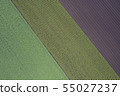 Pattern of the field 55027237