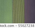 Pattern of the field 55027238