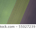Pattern of the field 55027239