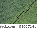 Potato field baron and make-in 55027241