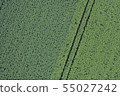 Potato field baron and make-in 55027242