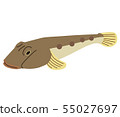 蝦虎魚 55027697