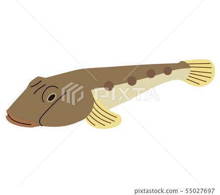 蝦虎魚 55027697