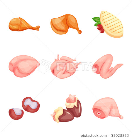 Vector design of meat and raw symbol. Set of meat and grilled vector icon for stock. Vector design of meat and raw symbol. Set of meat and grilled vector icon for stock. 55028823