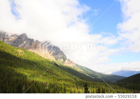 Beautiful summer lake louise Beautiful summer lake louise 55029158