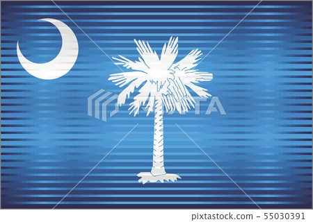 Shiny Grunge flag of the South Carolina - Stock Illustration [55030391 ...