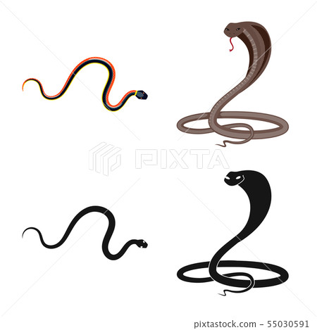 Vector design of mammal and danger icon. Collection of mammal and medicine vector icon for stock. Vector design of mammal and danger icon. Collection of mammal and medicine vector icon for stock. 55030591