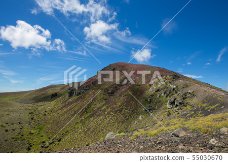 參觀岩手和碗 55030670