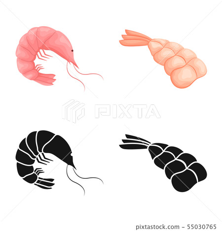 Vector design of appetizer and ocean symbol. Set of appetizer and delicacy stock symbol for web. 55030765