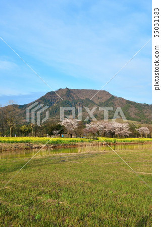 View Mt. Kakuda from Kamisugata Park (Niigata Prefecture) View Mt. Kakuda from Kamisugata Park (Niigata Prefecture) 55031183