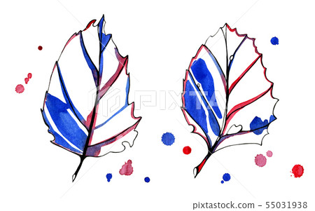 Two watercolor stylized graphic autumn leaves. Two watercolor stylized graphic autumn leaves. 55031938