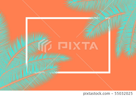 Palm leaves. Summer background Palm leaves. Summer background 55032025