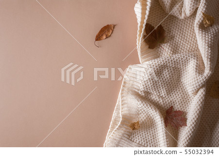 Autumn coziness indoor background 55032394