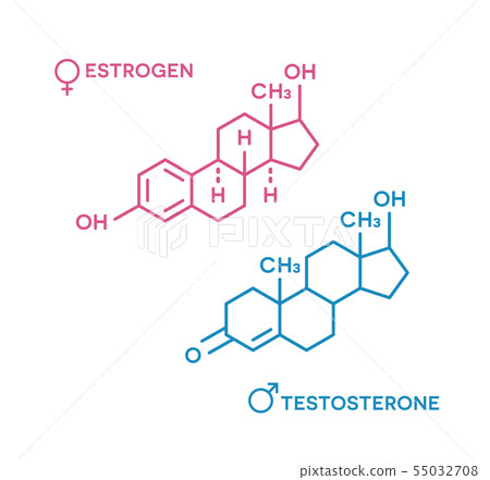 Estrogen and testosterone hormones symbol. Sex...-插圖素材 [55032708] - PIXTA圖庫
