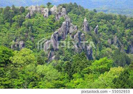 新鮮的綠色yakisaki 55032933