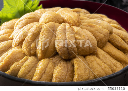 Delicious sea urchin of Hokkaido 55033110