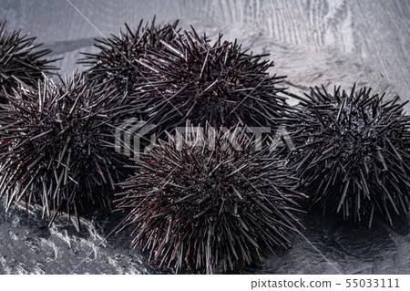 Delicious sea urchin of Hokkaido Delicious sea urchin of Hokkaido 55033111