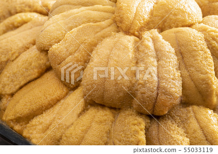 Delicious sea urchin of Hokkaido 55033119