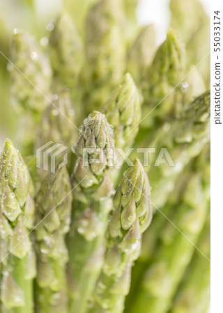 Fresh and delicious asparagus Fresh and delicious asparagus 55033174