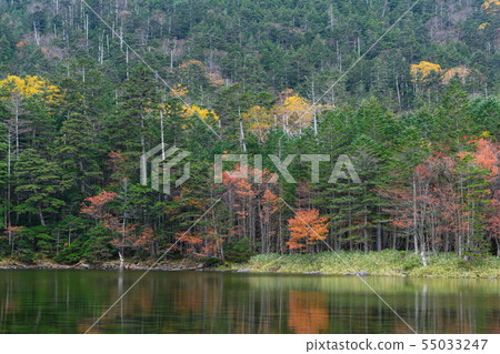 Late autumn turtle lake Late autumn turtle lake 55033247