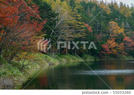Late autumn twins pond Late autumn twins pond 55033260