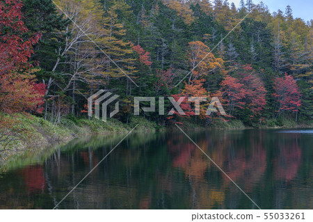 Late autumn twins pond Late autumn twins pond 55033261