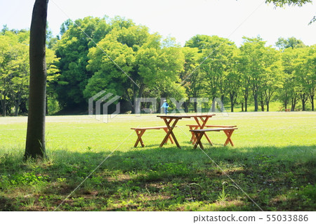 summer park 55033886