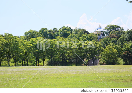 summer park summer park 55033893