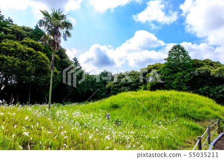 Yurihata Ancient Garden [Iki City, Nagasaki Prefecture] 55035211