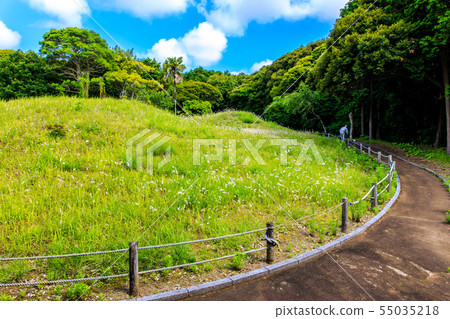 Yurihata Ancient Garden [Iki City, Nagasaki Prefecture] 55035218