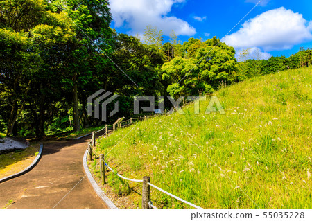 Yurihata Ancient Garden [Iki City, Nagasaki Prefecture] 55035228
