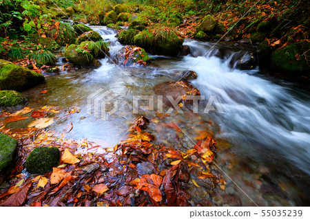 Oyama Kiyazawa Autumn leaves Oyama Kiyazawa Autumn leaves 55035239