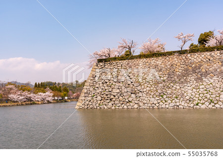Historic Himeji Castle Uchibori-Spring- 55035768